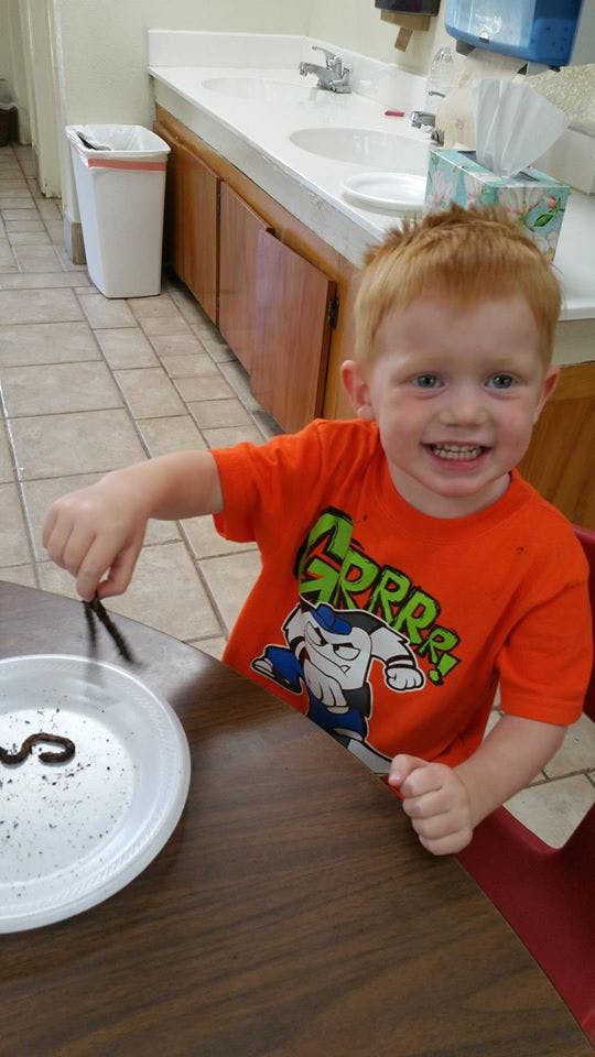 Child holding a worm over a plate