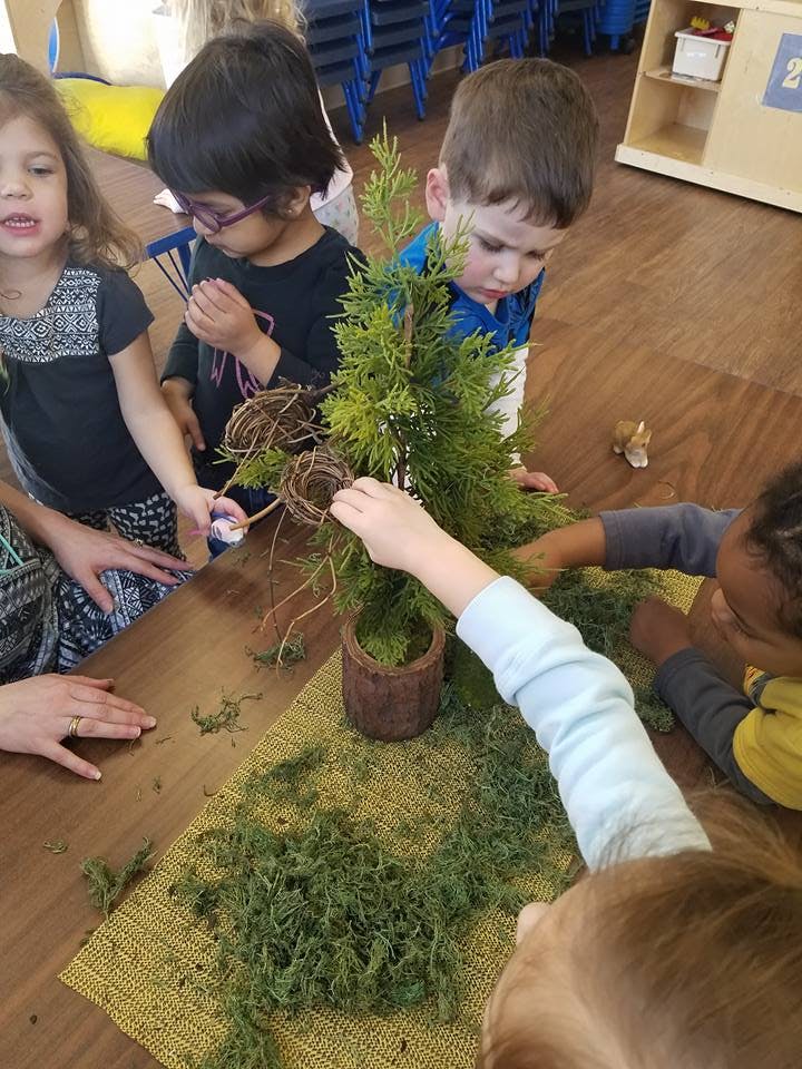 Children decorating a small potted tree with moss and twigs