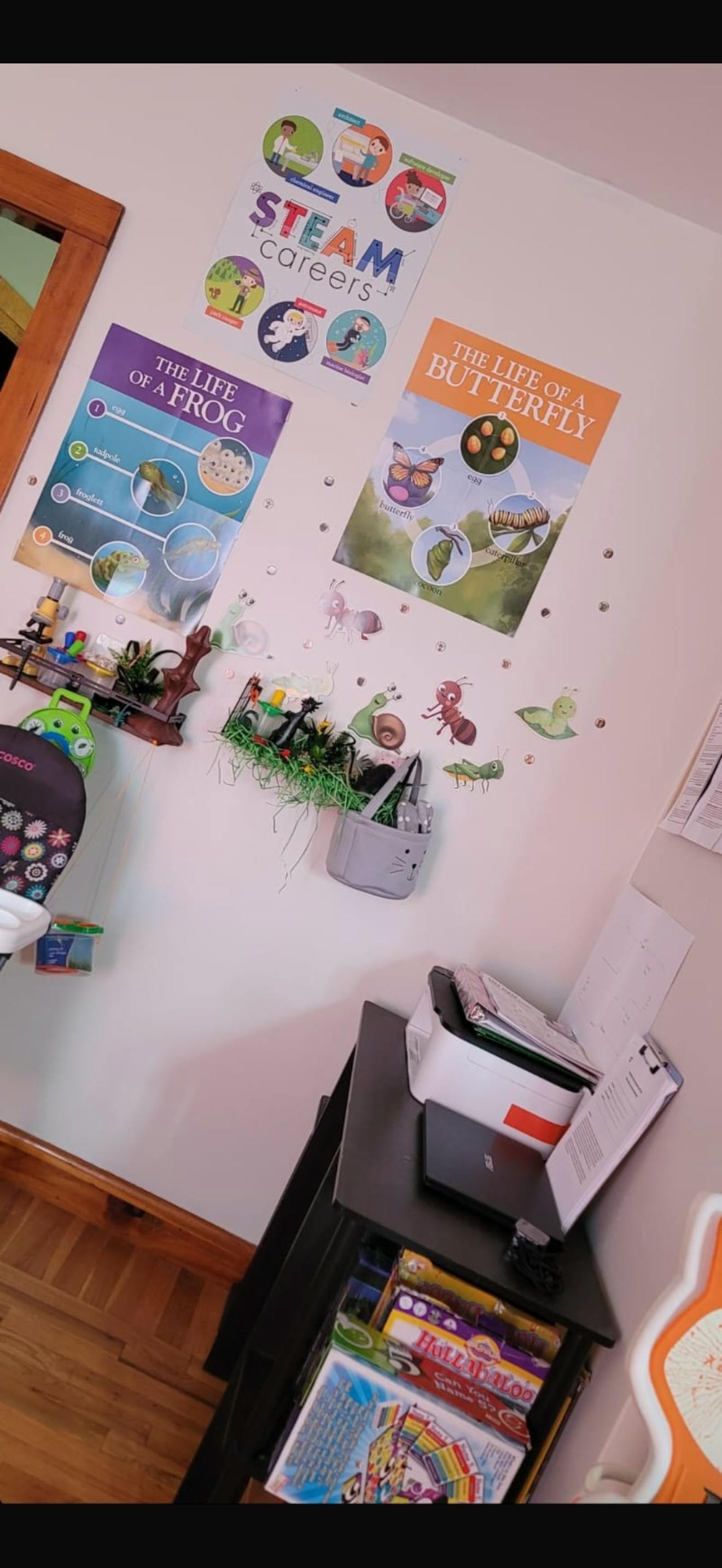 Wall with educational posters about STEAM careers, frogs, and butterflies