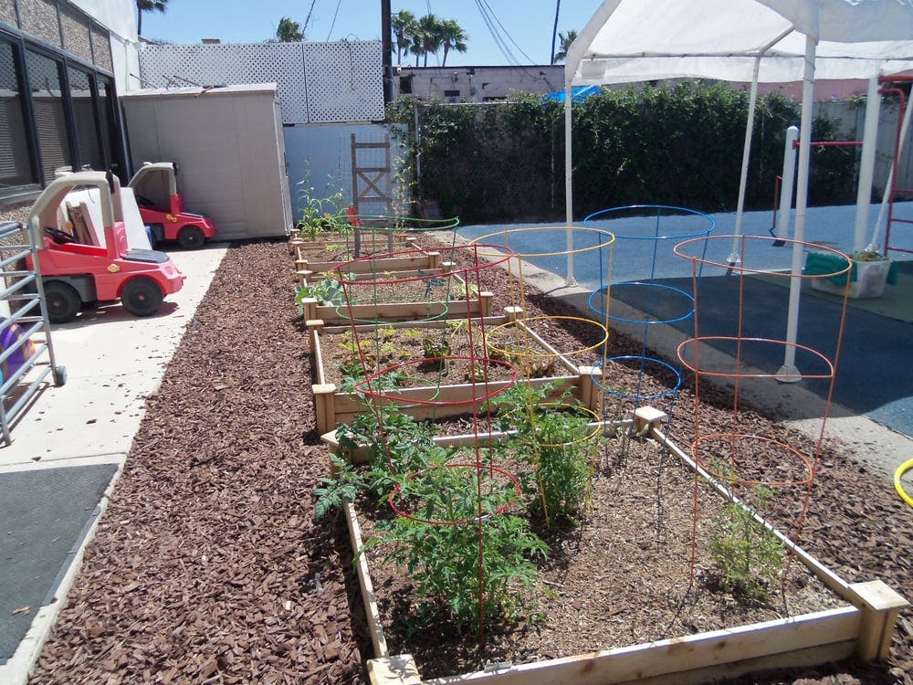 Raised garden beds with plants and wood chips
