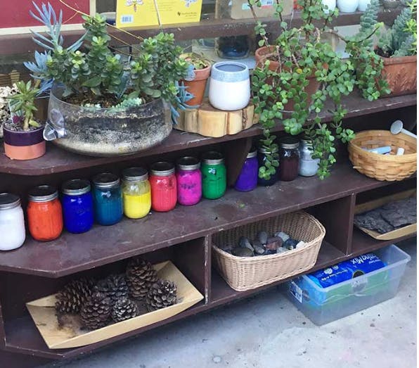 Shelves with potted plants, colorful jars, pinecones, and baskets