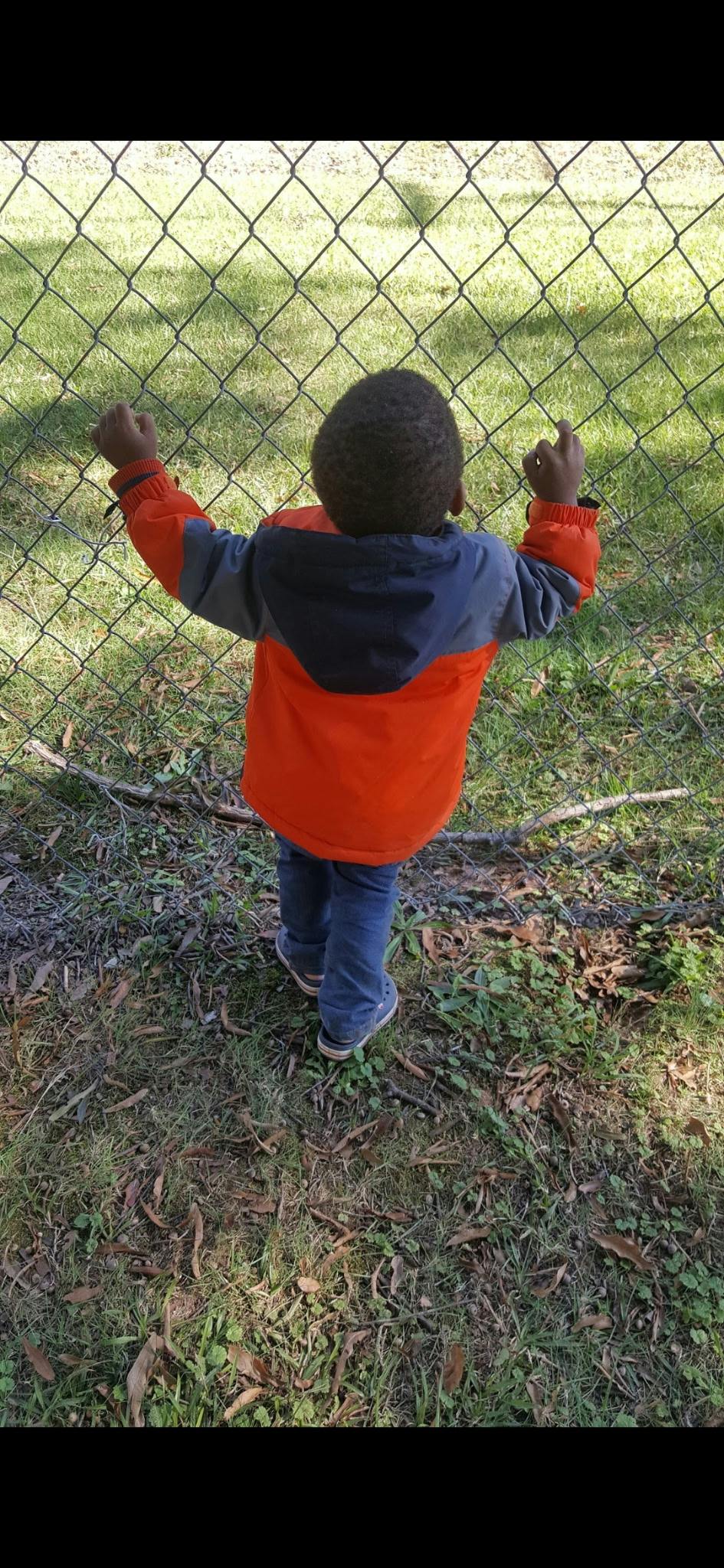 Child in a jacket standing at a chain link fence