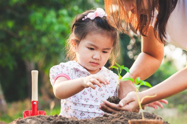 Child and person planting a small seedling in soil