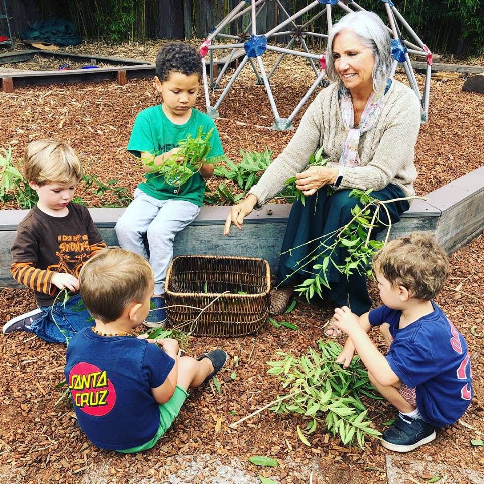 Adult and children sorting plants outdoors