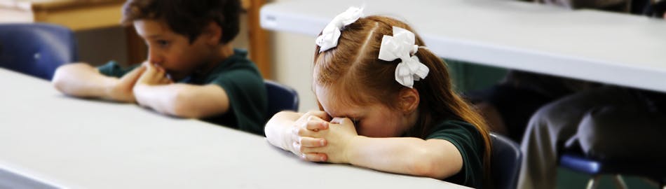 Northcreek Academy & Preschool - Preschool in Walnut Creek, CA - Winnie