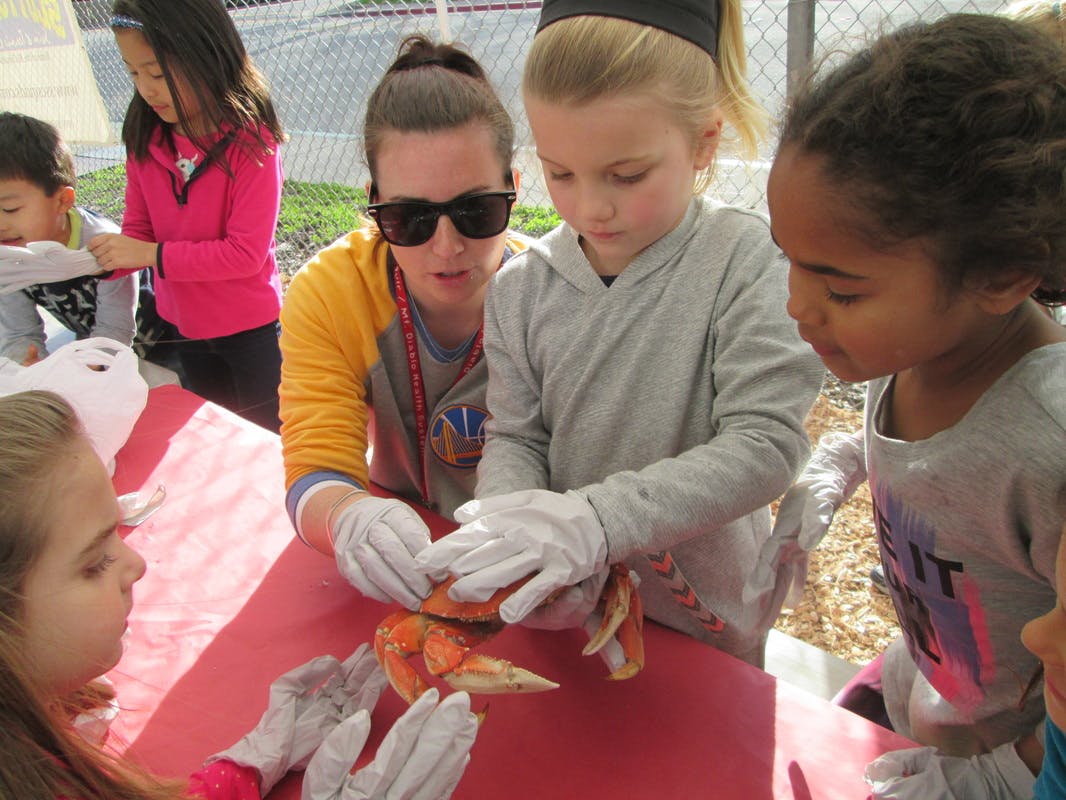 Person and children wearing gloves examining a crab