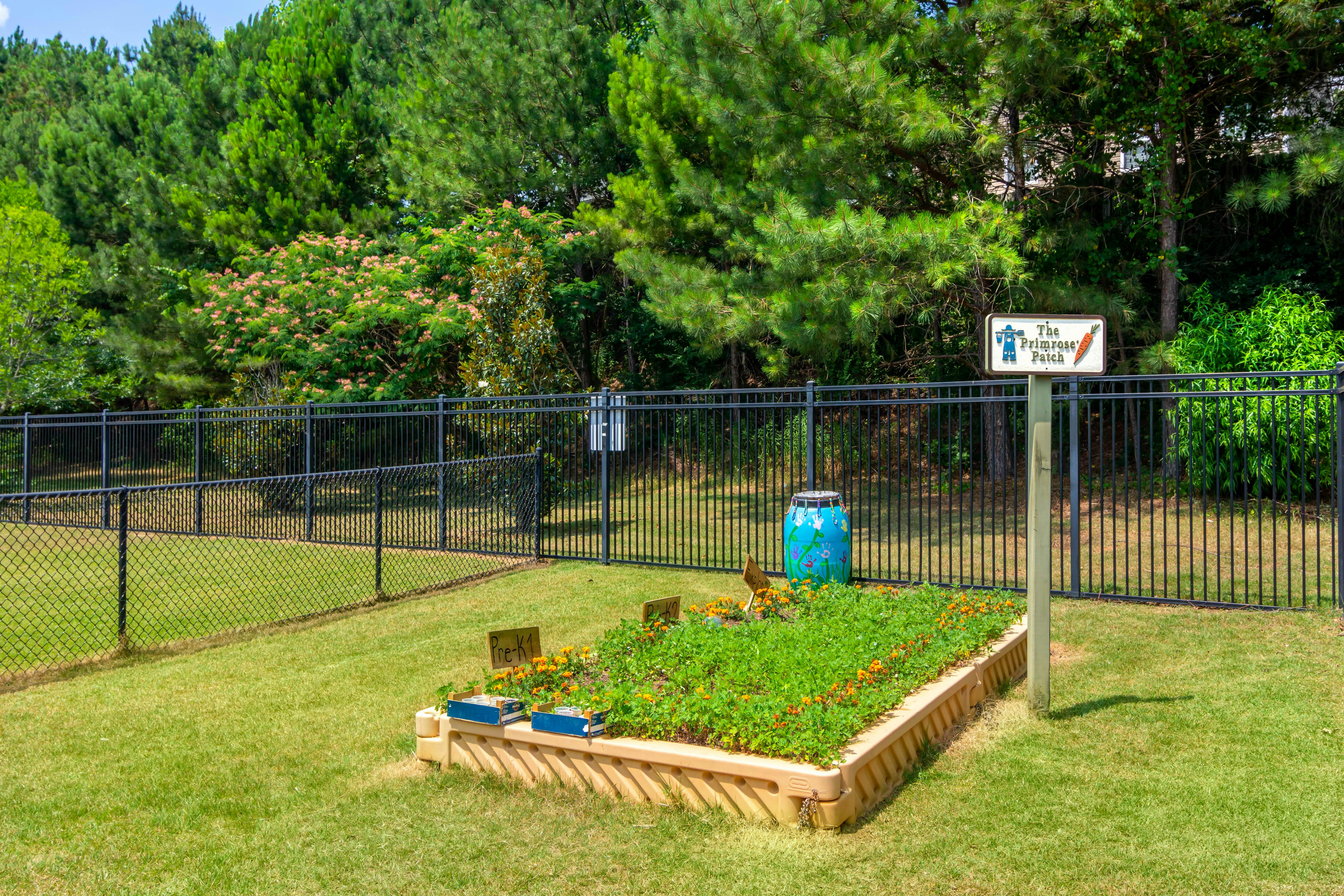 Raised garden bed with green plants and small orange flowers next to a black fence
