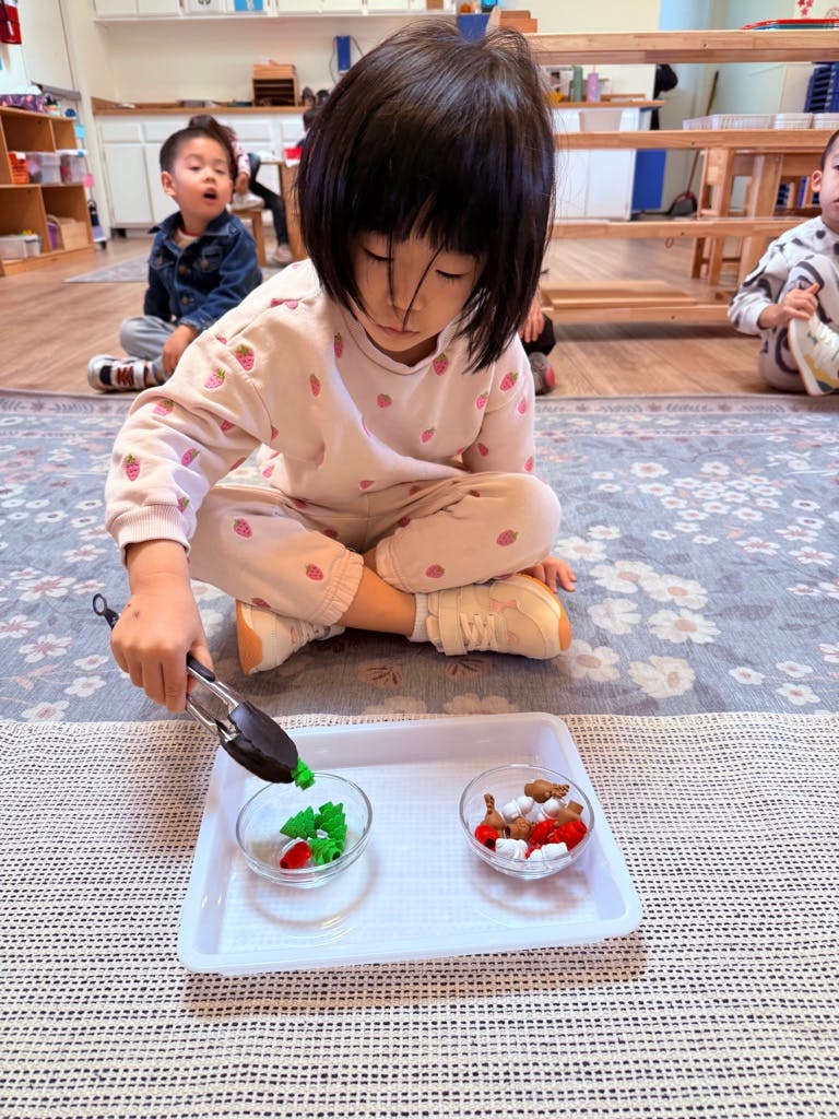Child using tongs to move small green objects into a bowl