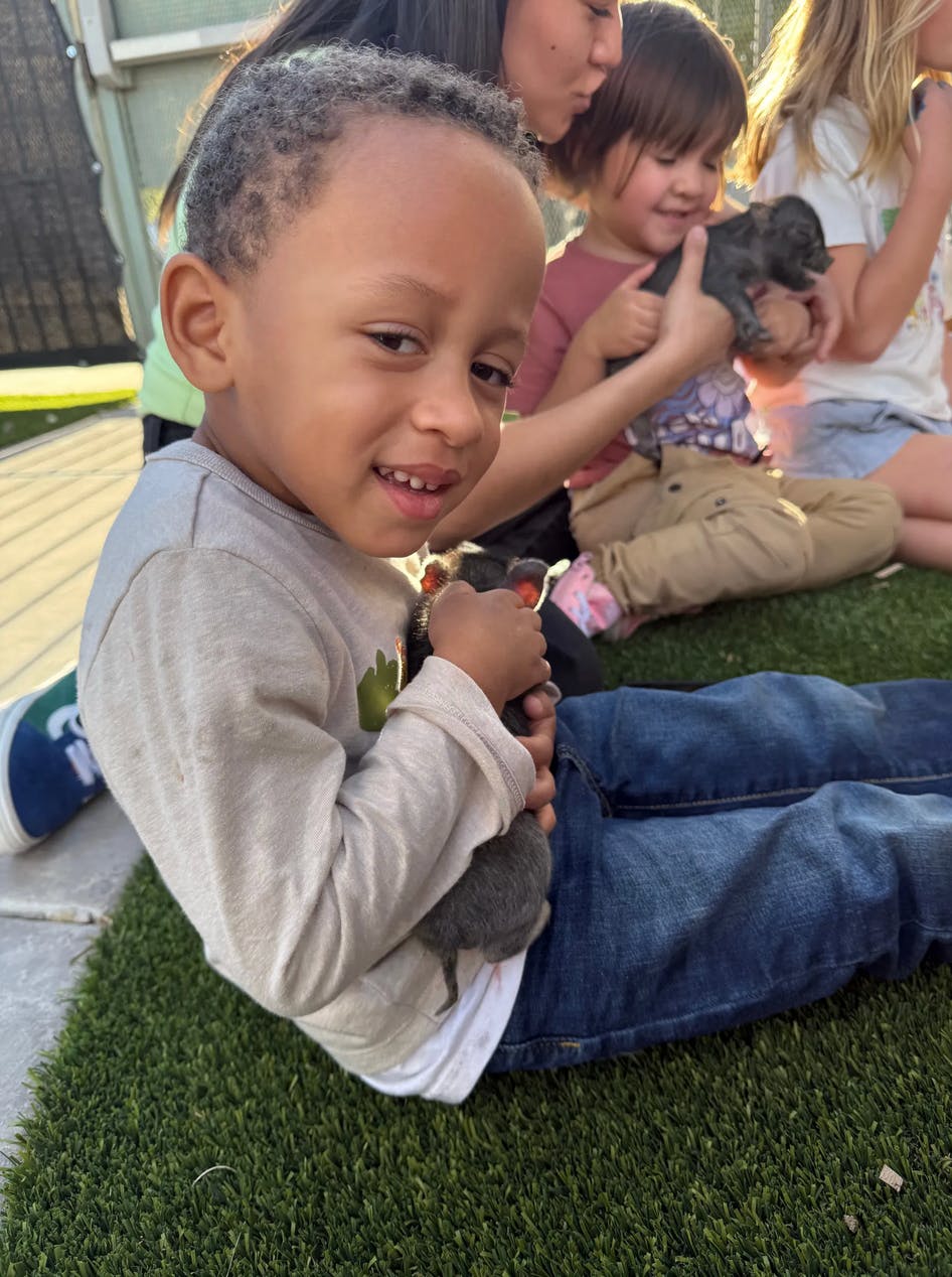 Child sitting on grass holding a small animal