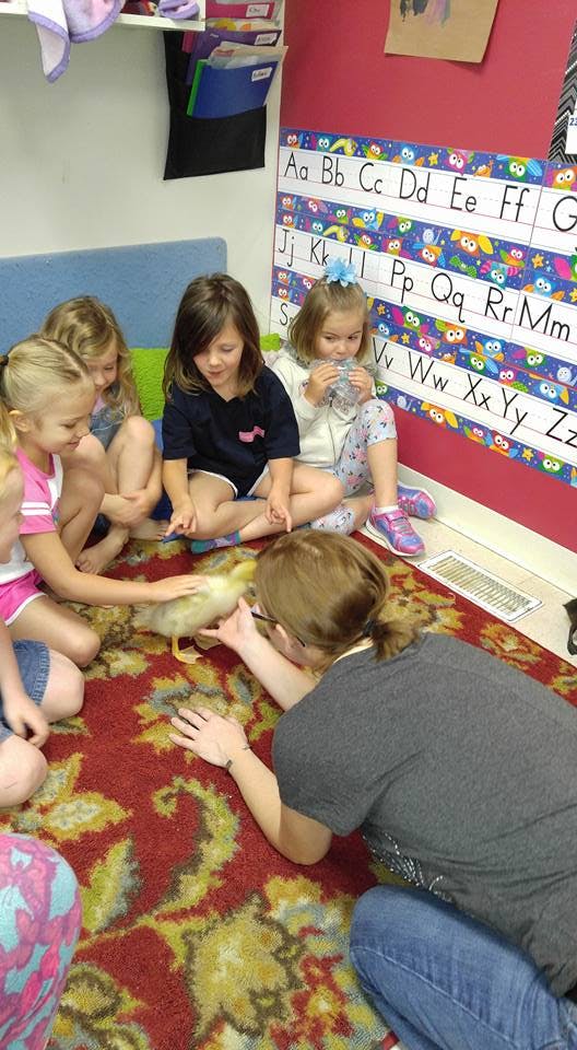 Children and an adult on the floor interacting with a duckling