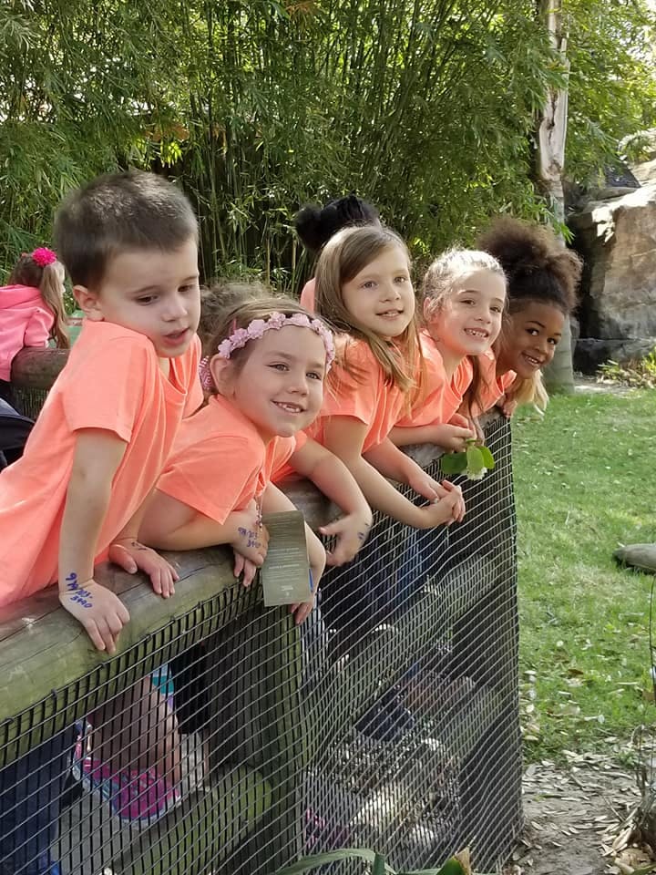 Group of children looking over a fence