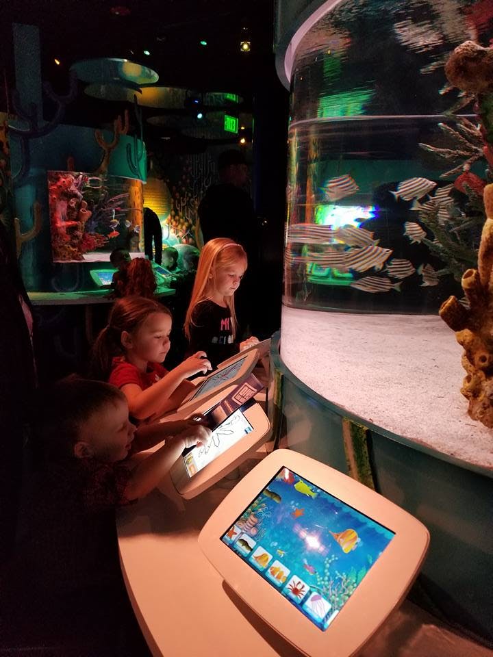 Children interacting with touchscreens next to an aquarium