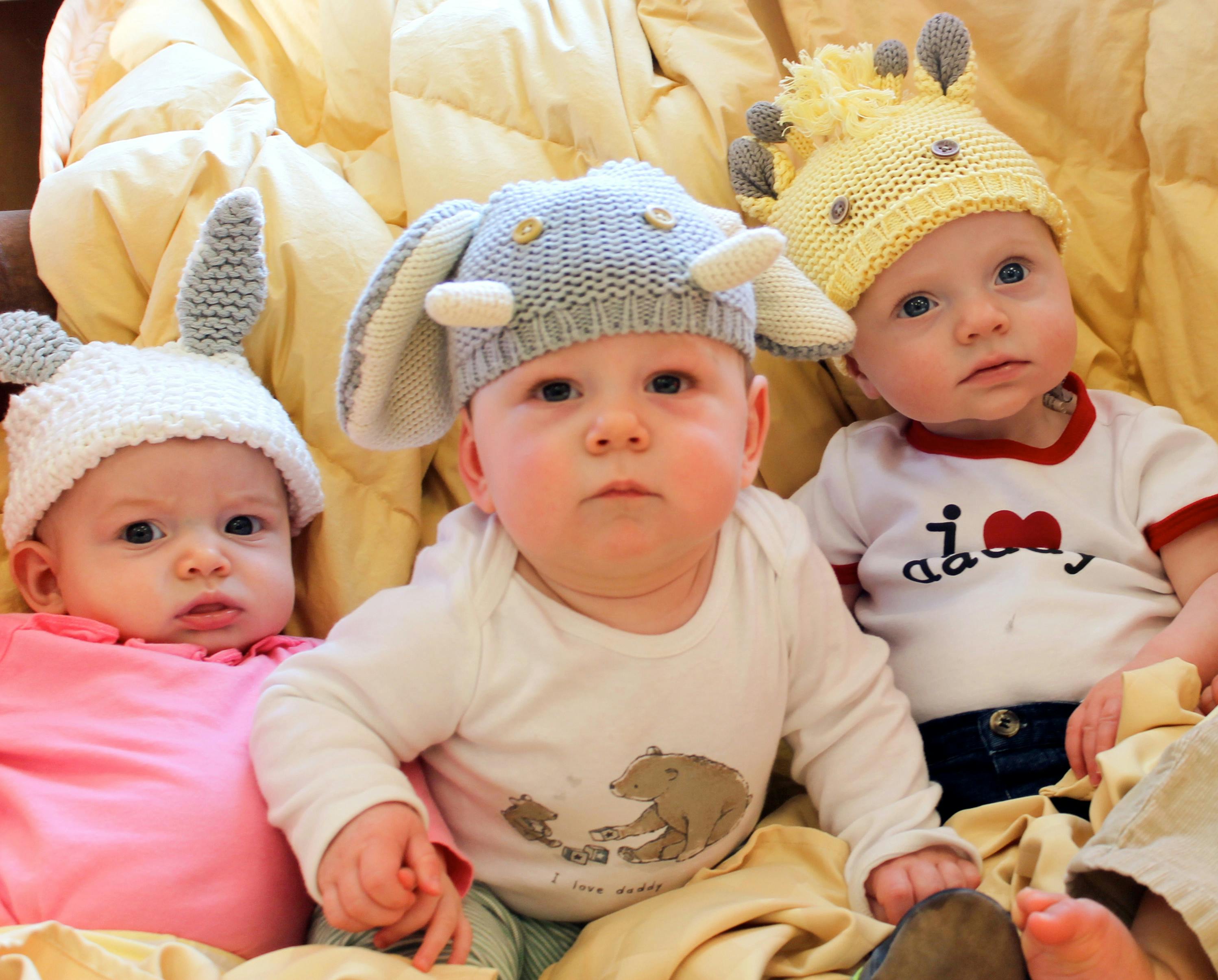 Three babies wearing knitted animal hats