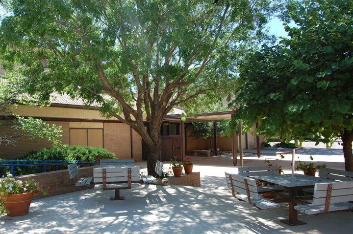 Outdoor patio with trees, benches, and tables