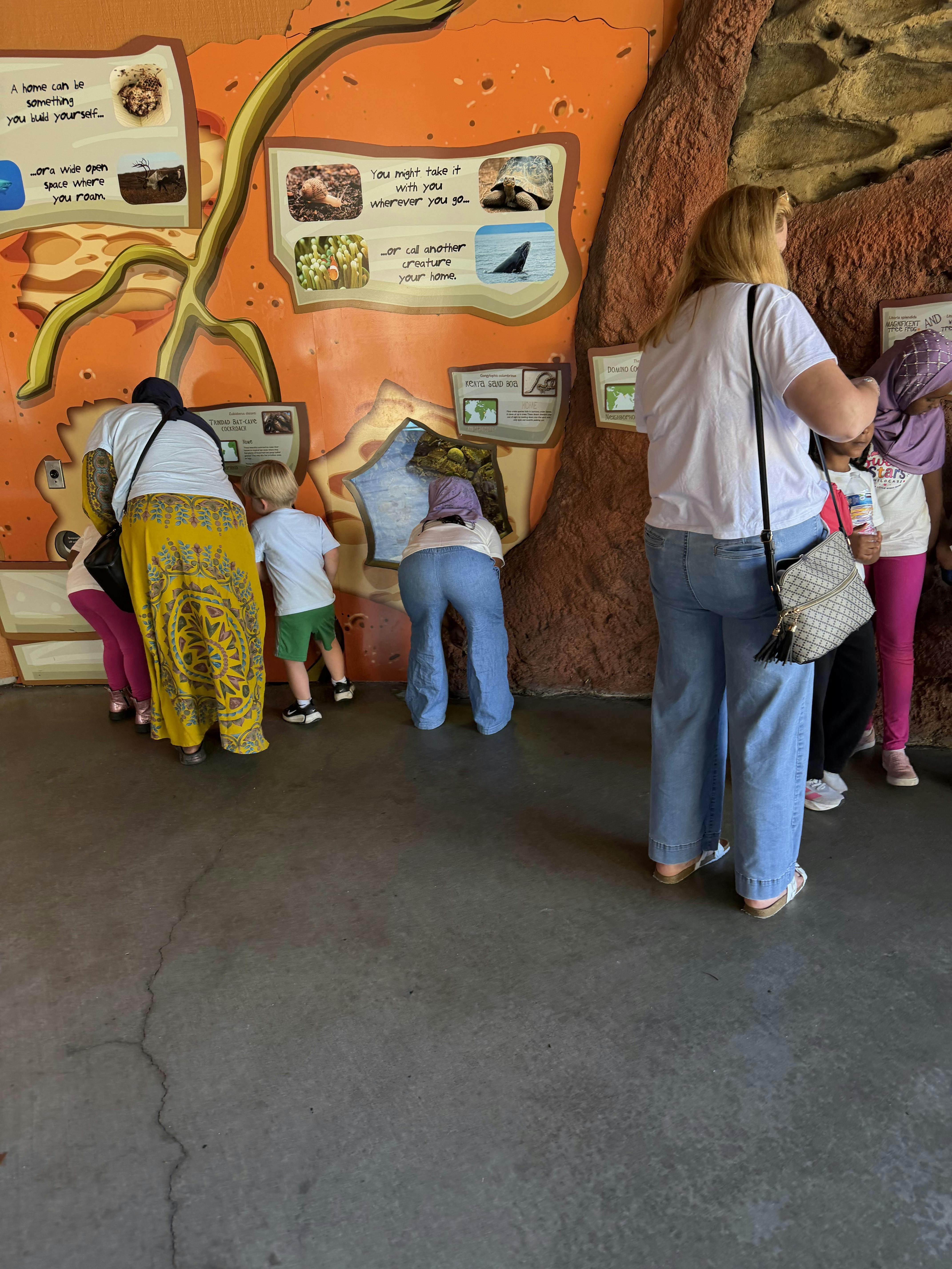 People viewing animal exhibits on an educational display wall