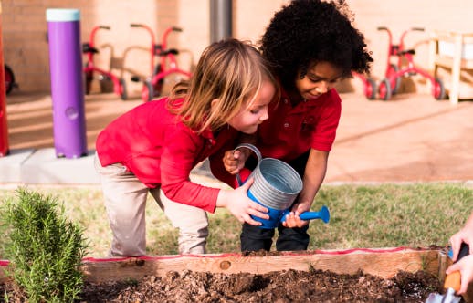 Two children watering plants in a garden bed