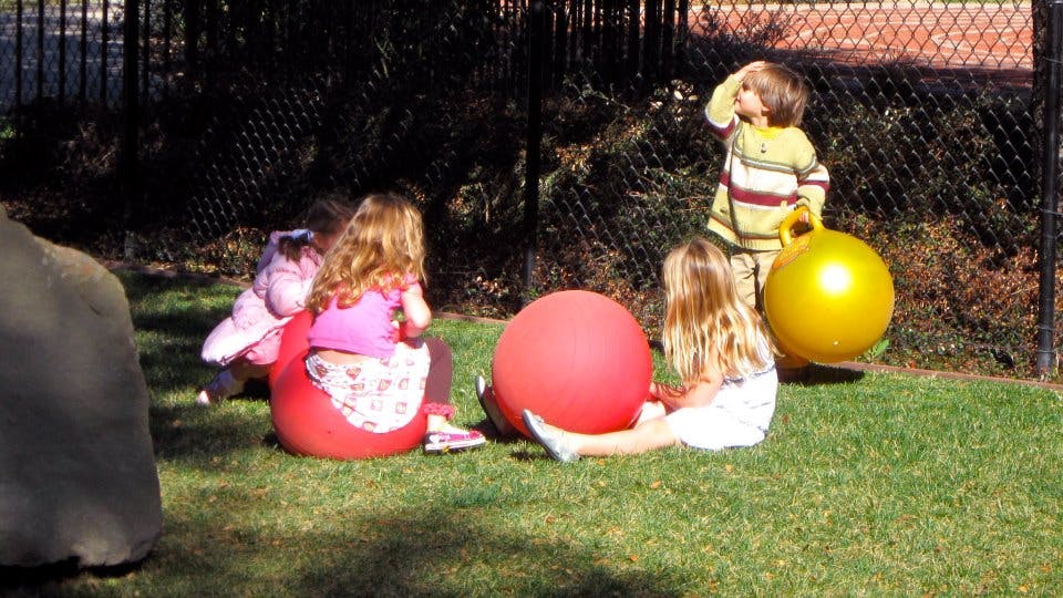 Children playing with large balls on grass