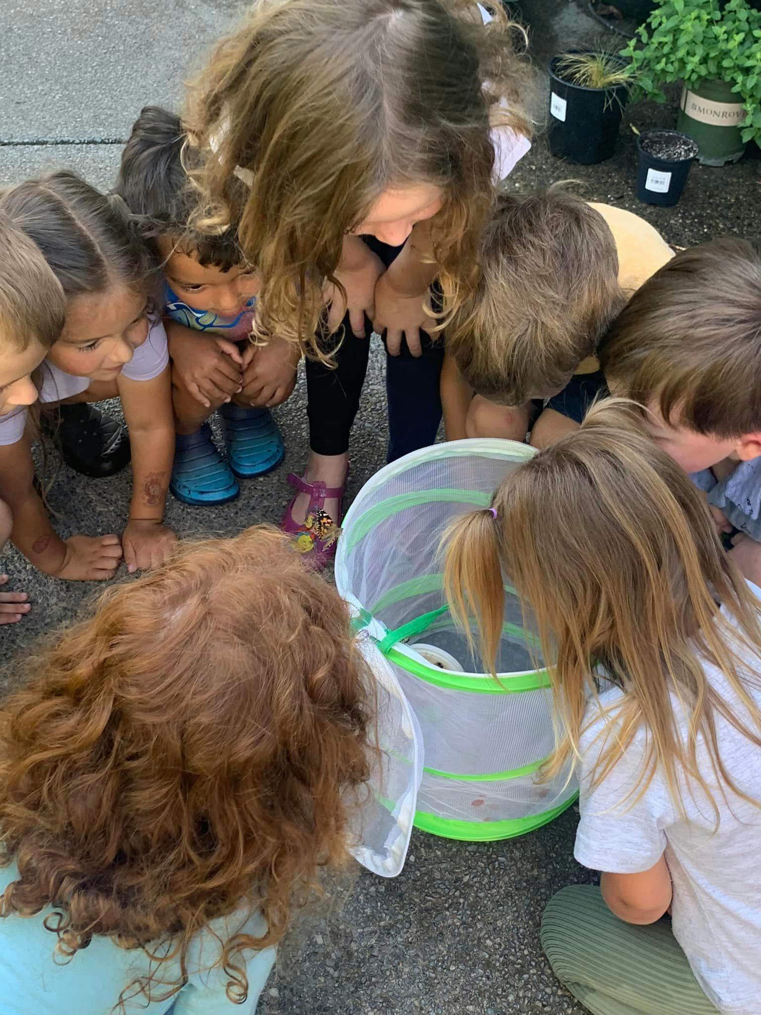 Children gathered around a mesh container