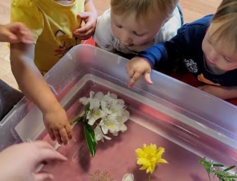 Children looking at flowers in a clear container