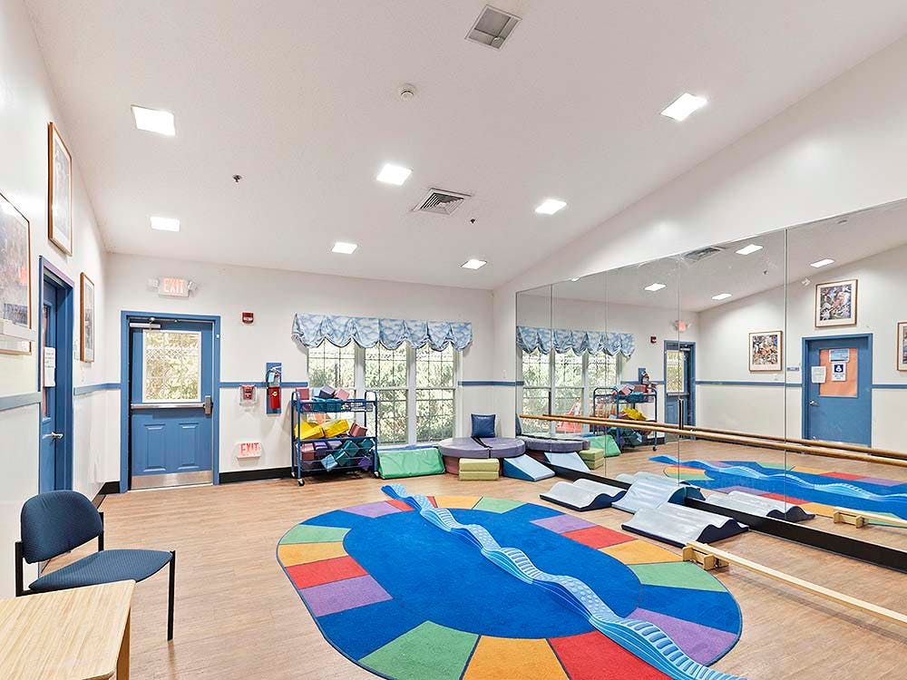Playroom with a colorful rug, large mirrors, and blue doors