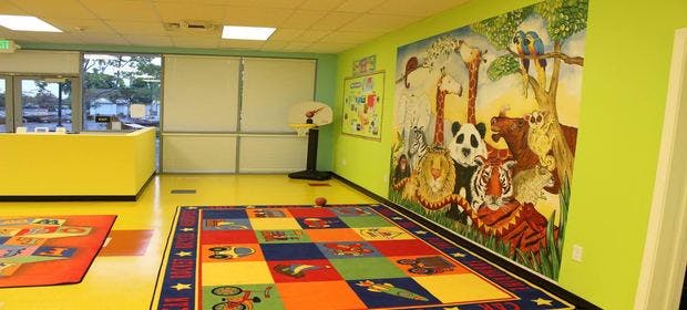 Playroom with colorful rug and animal mural