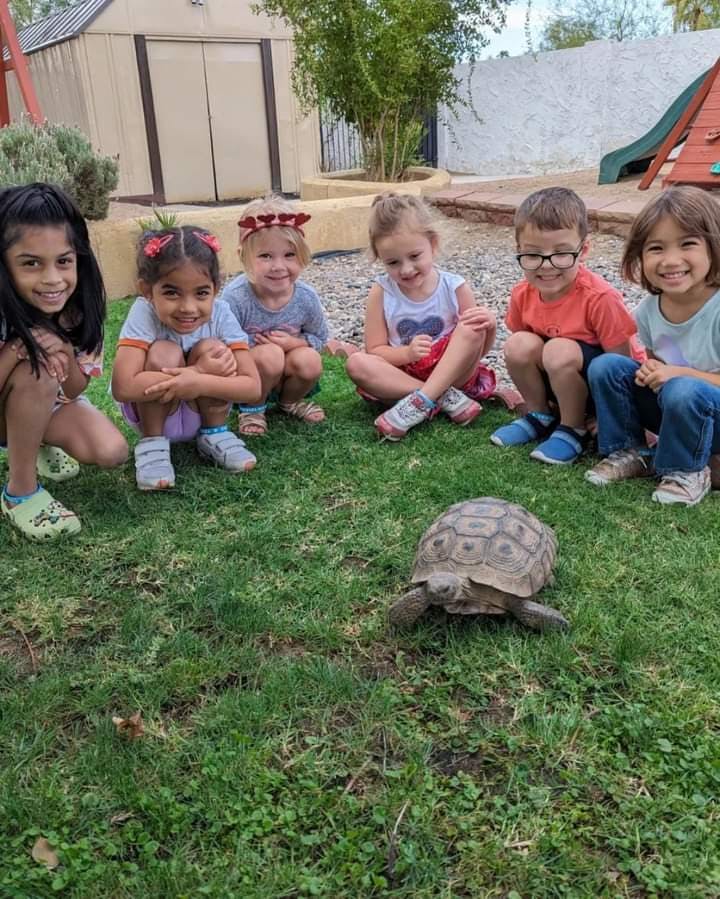 Six children crouching on grass looking at a tortoise