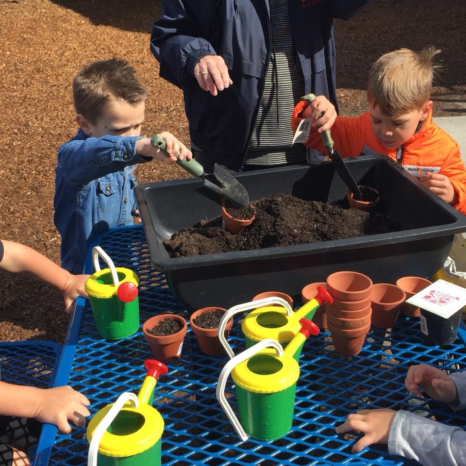 Children and an adult planting in a large container of soil