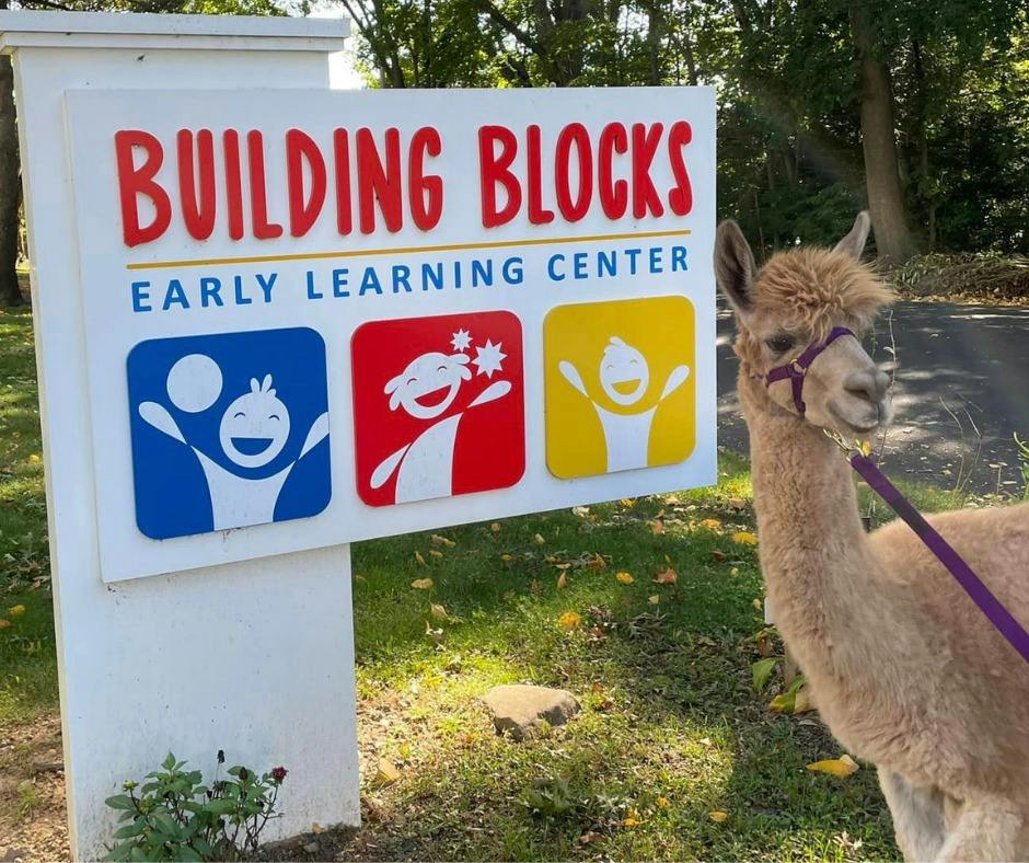 Alpaca on a leash next to a sign for Building Blocks Early Learning Center