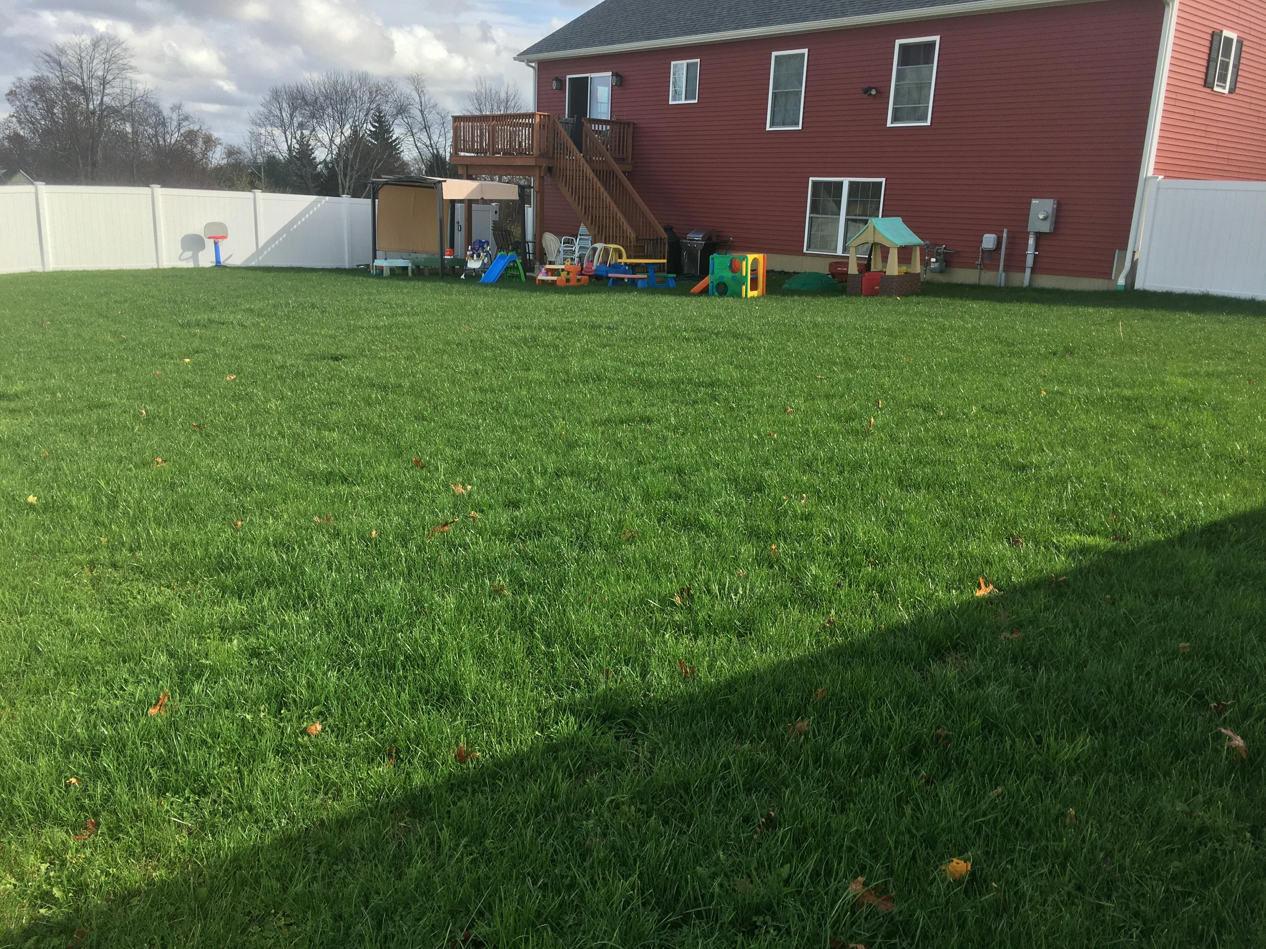 Backyard with green grass, a red house, and a white fence