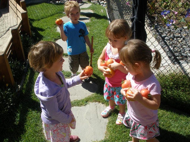 Four children holding small orange fruits outdoors