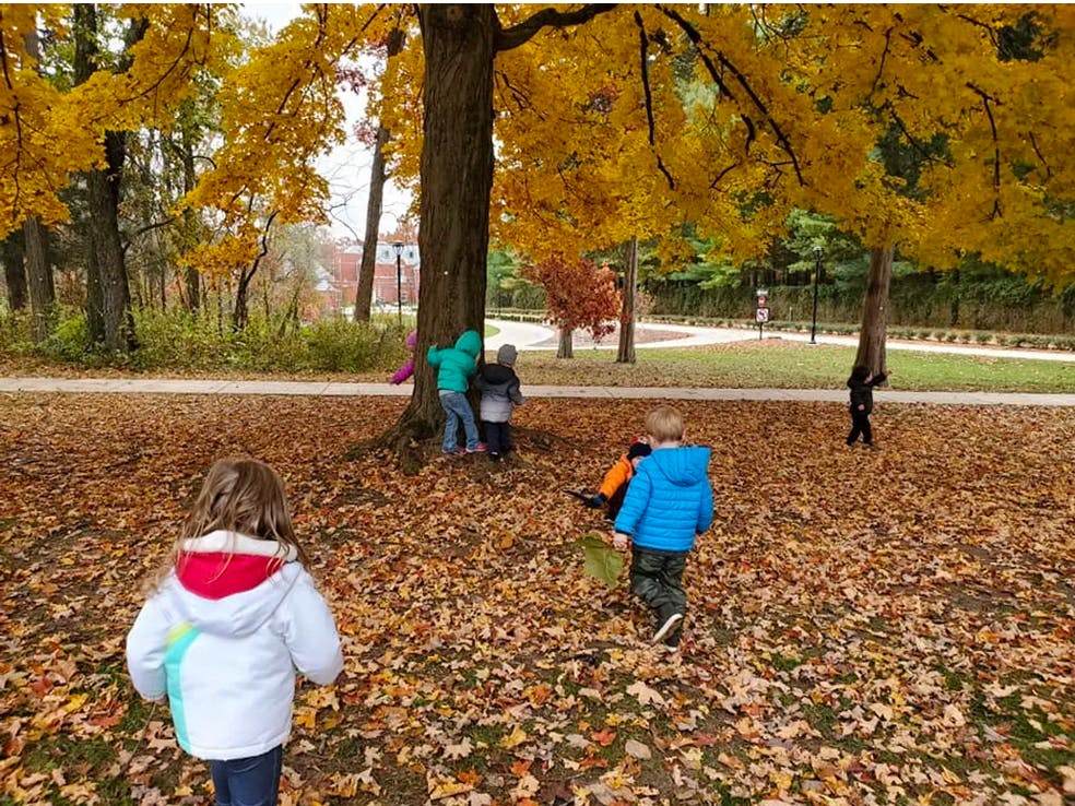 Children playing in autumn leaves under trees