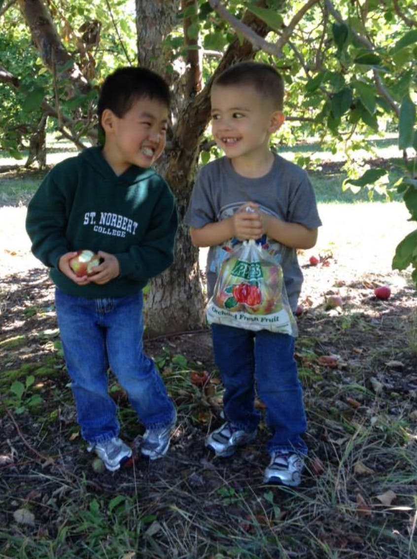 Two children holding apples and a bag of fruit under a tree