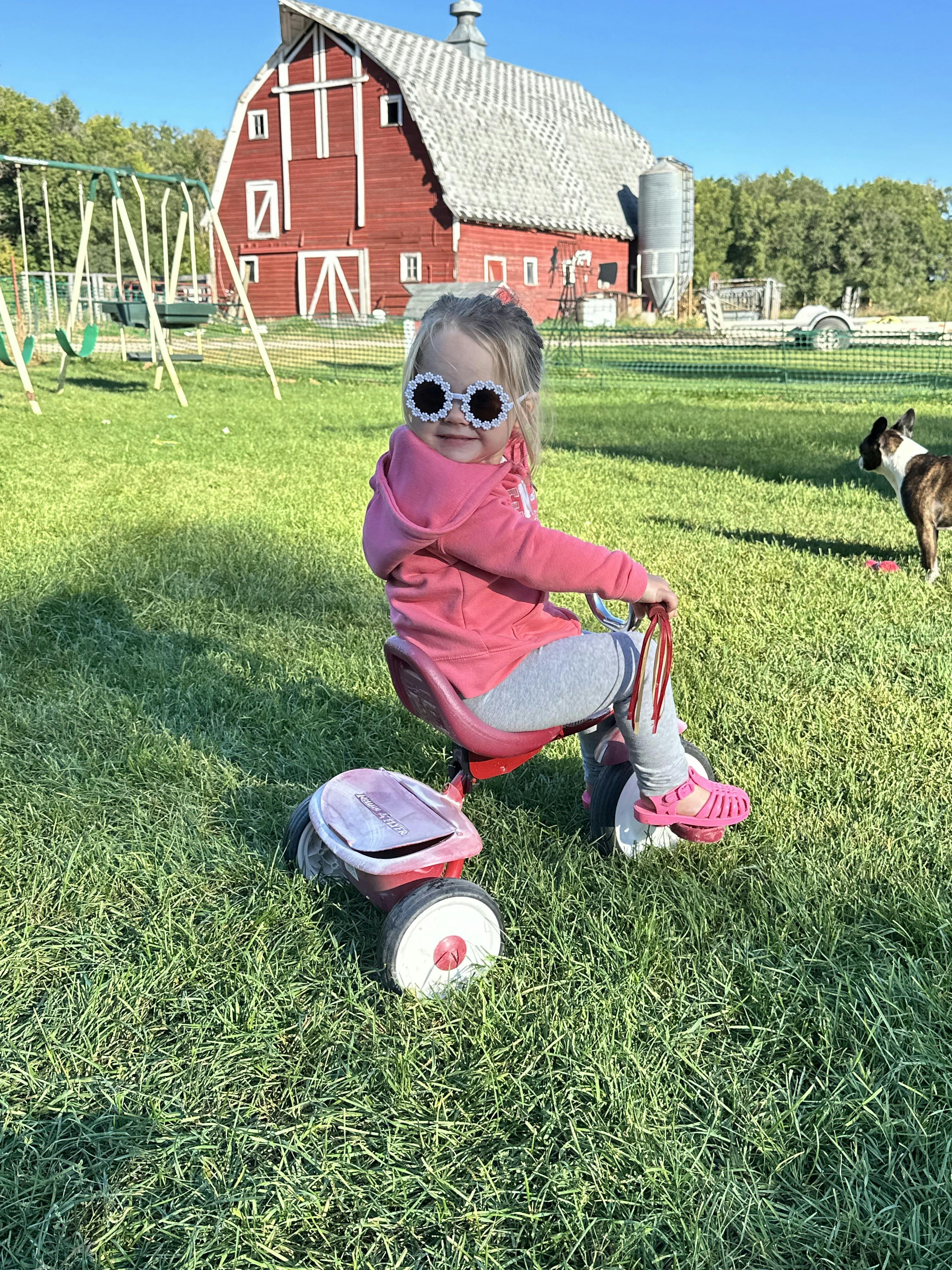 Child wearing flower-shaped sunglasses on a tricycle with a barn in the background