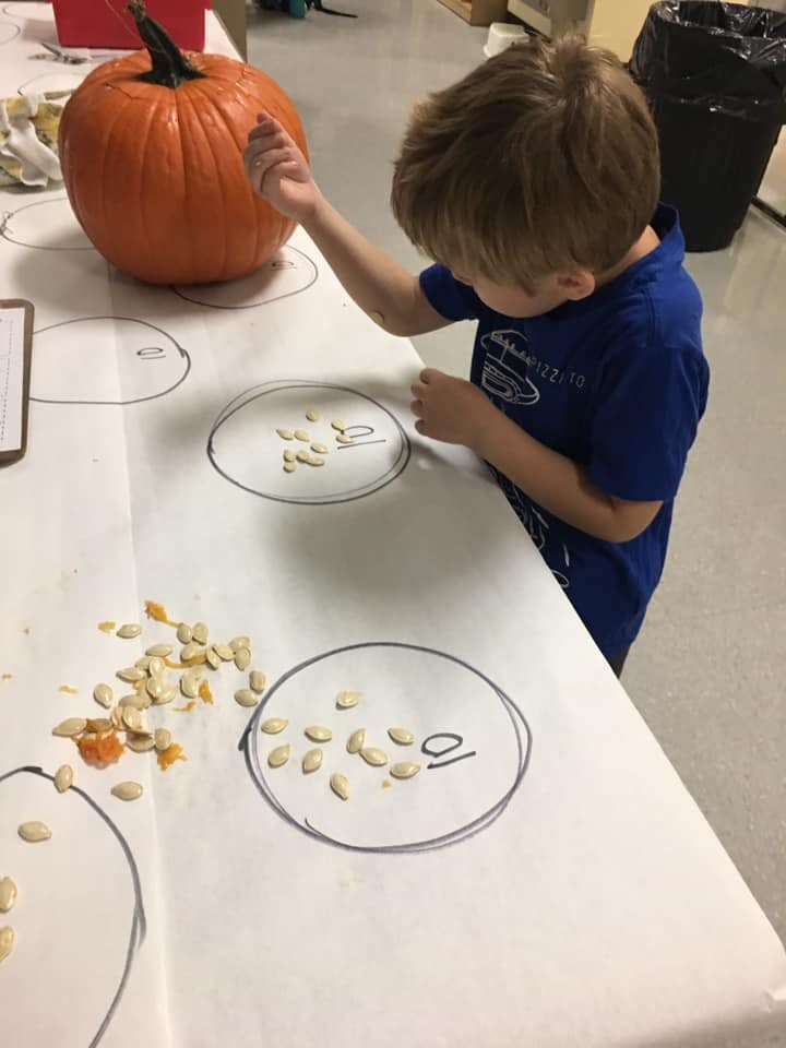 Child counting pumpkin seeds on a table next to a pumpkin