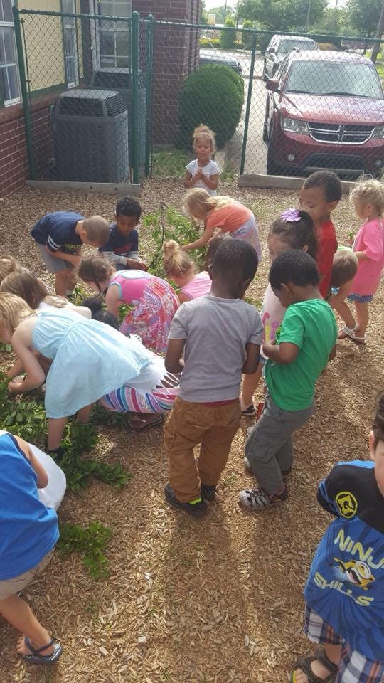 Group of children digging in a garden