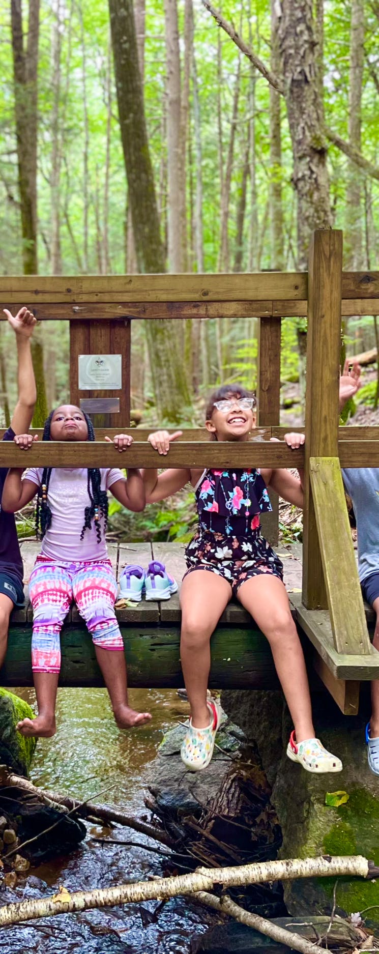 Children sitting on a wooden bridge over a stream in a forest