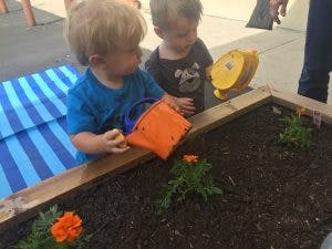 Child watering plants in a garden bed
