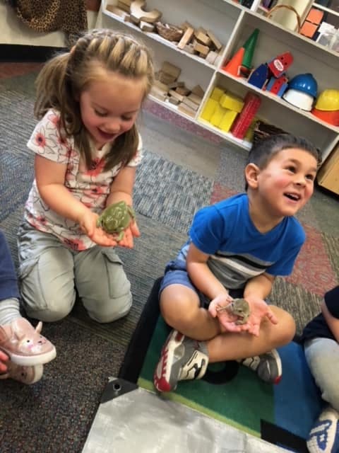 Two children holding frogs in their hands