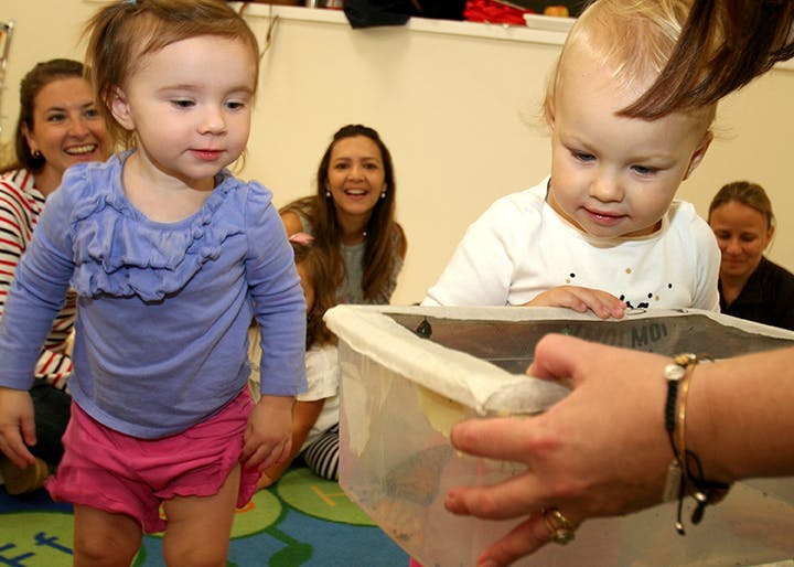 Two children playing with a container, with adults in the background