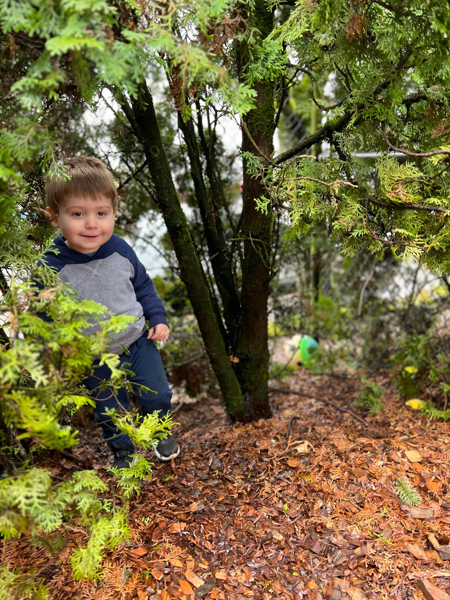 Child standing among green bushes and trees