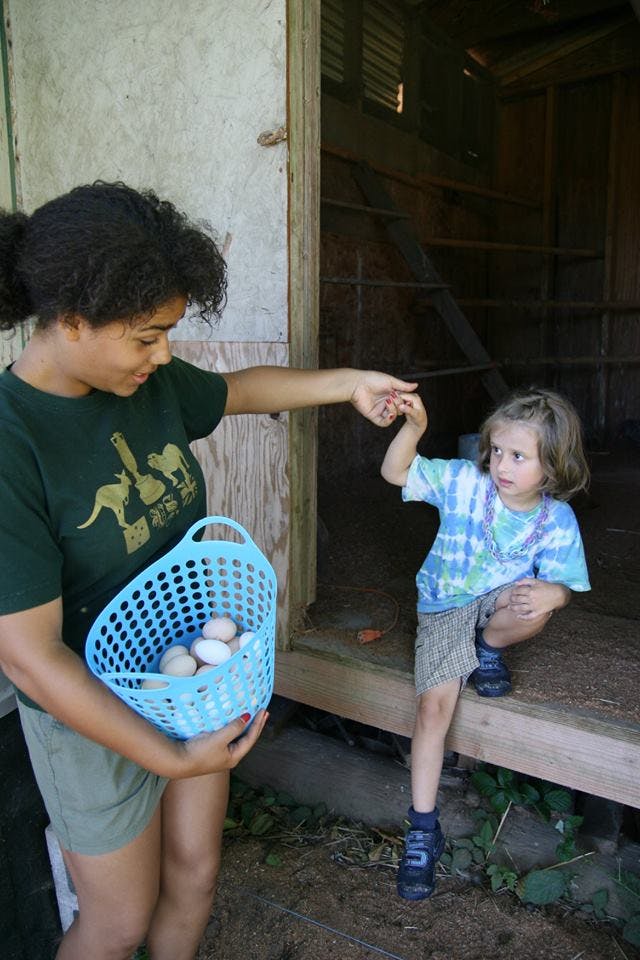 Person holding a basket of eggs and a child reaching out