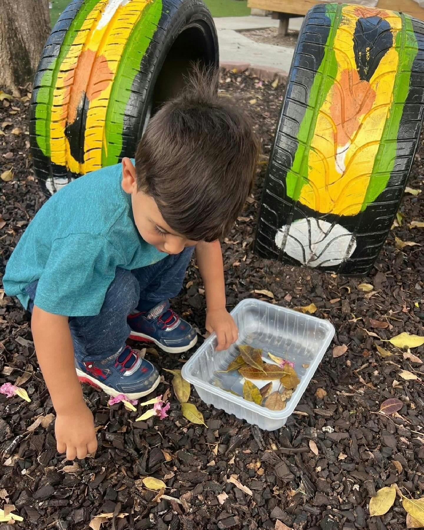 Child collecting leaves in a plastic container
