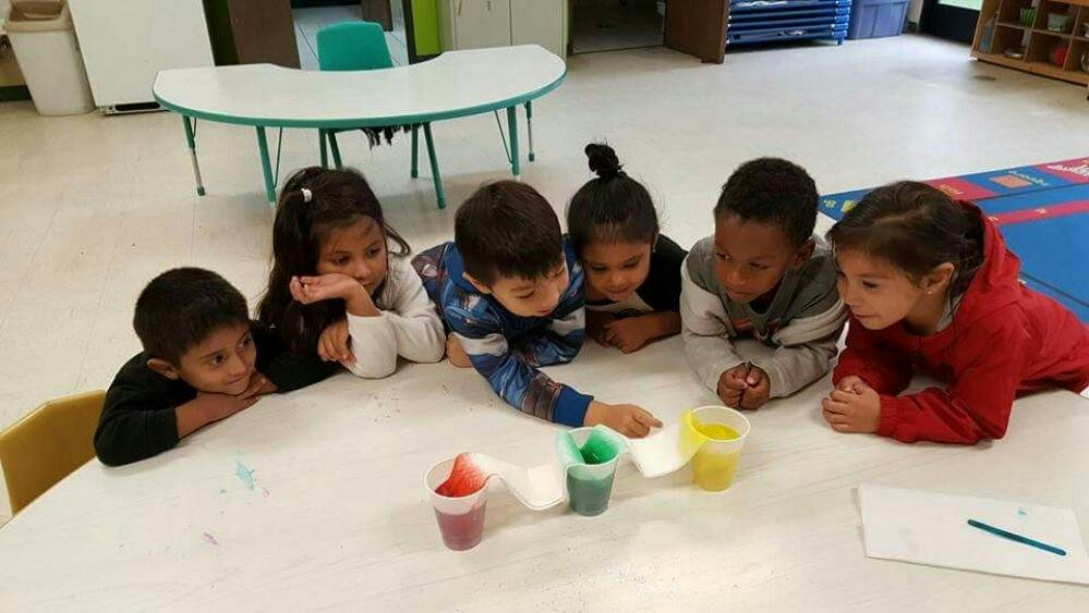 Children looking at colorful liquids in cups on a table in a classroom