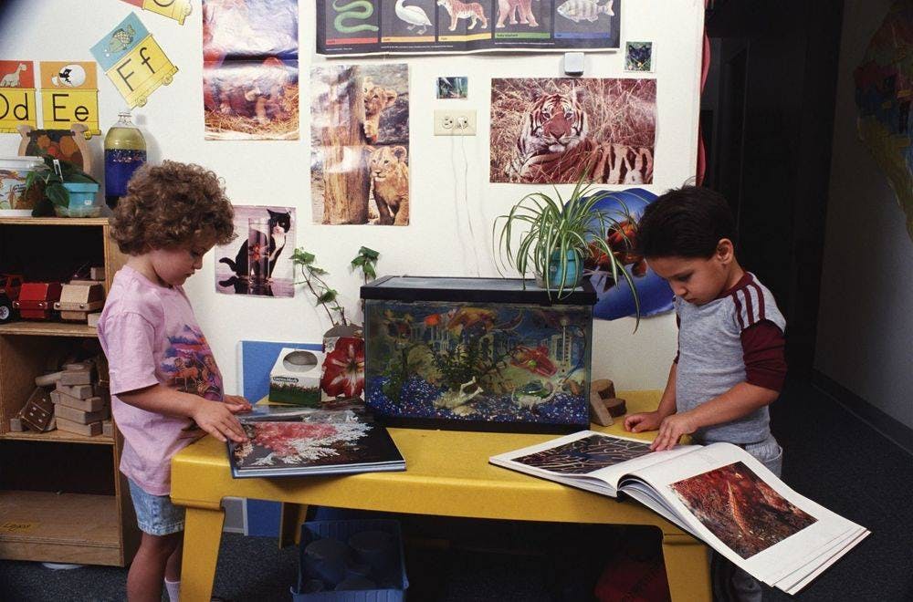 Two children looking at books on a yellow table in a classroom