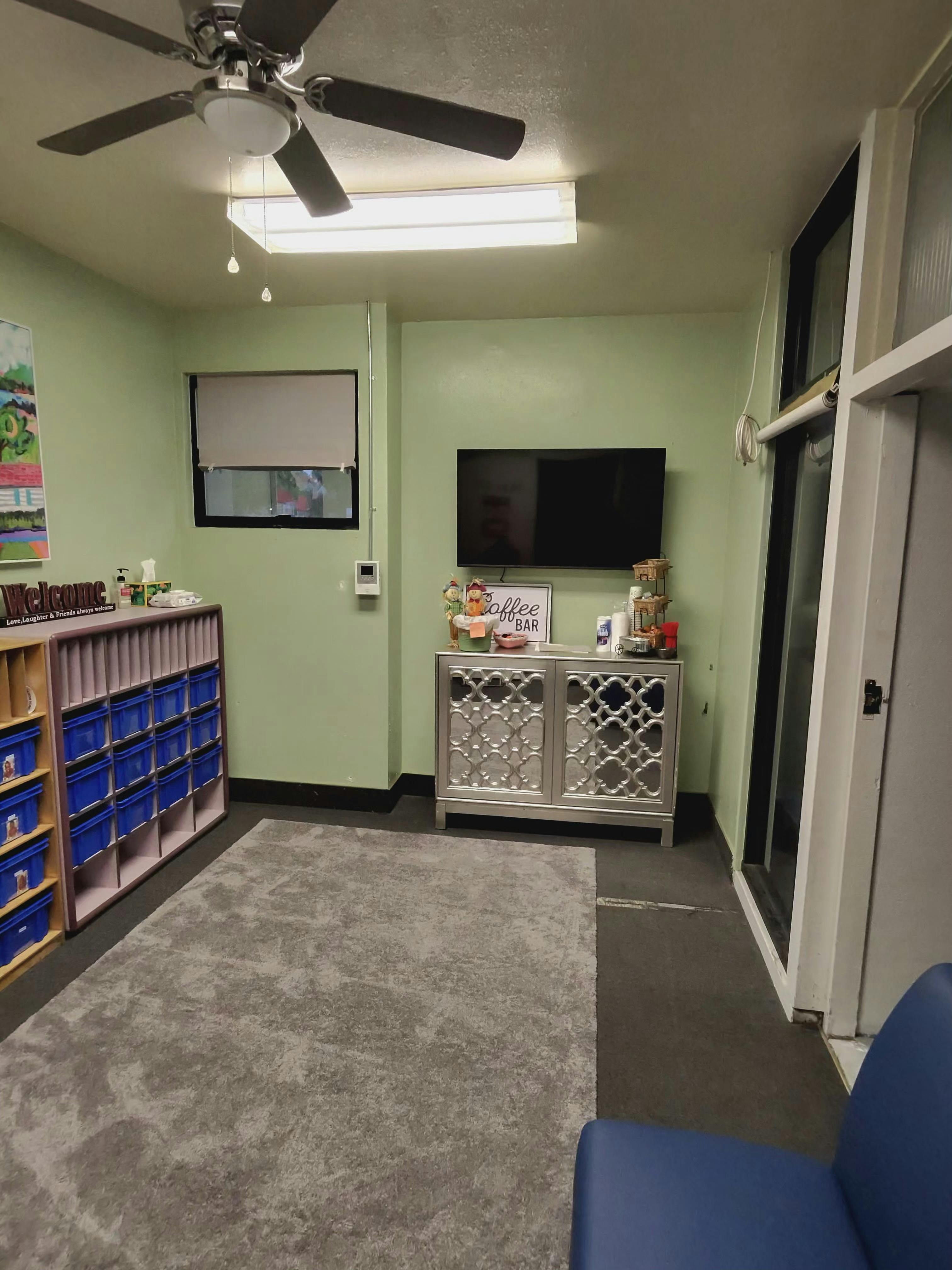 Room with a ceiling fan, television, storage unit with blue bins, and rug