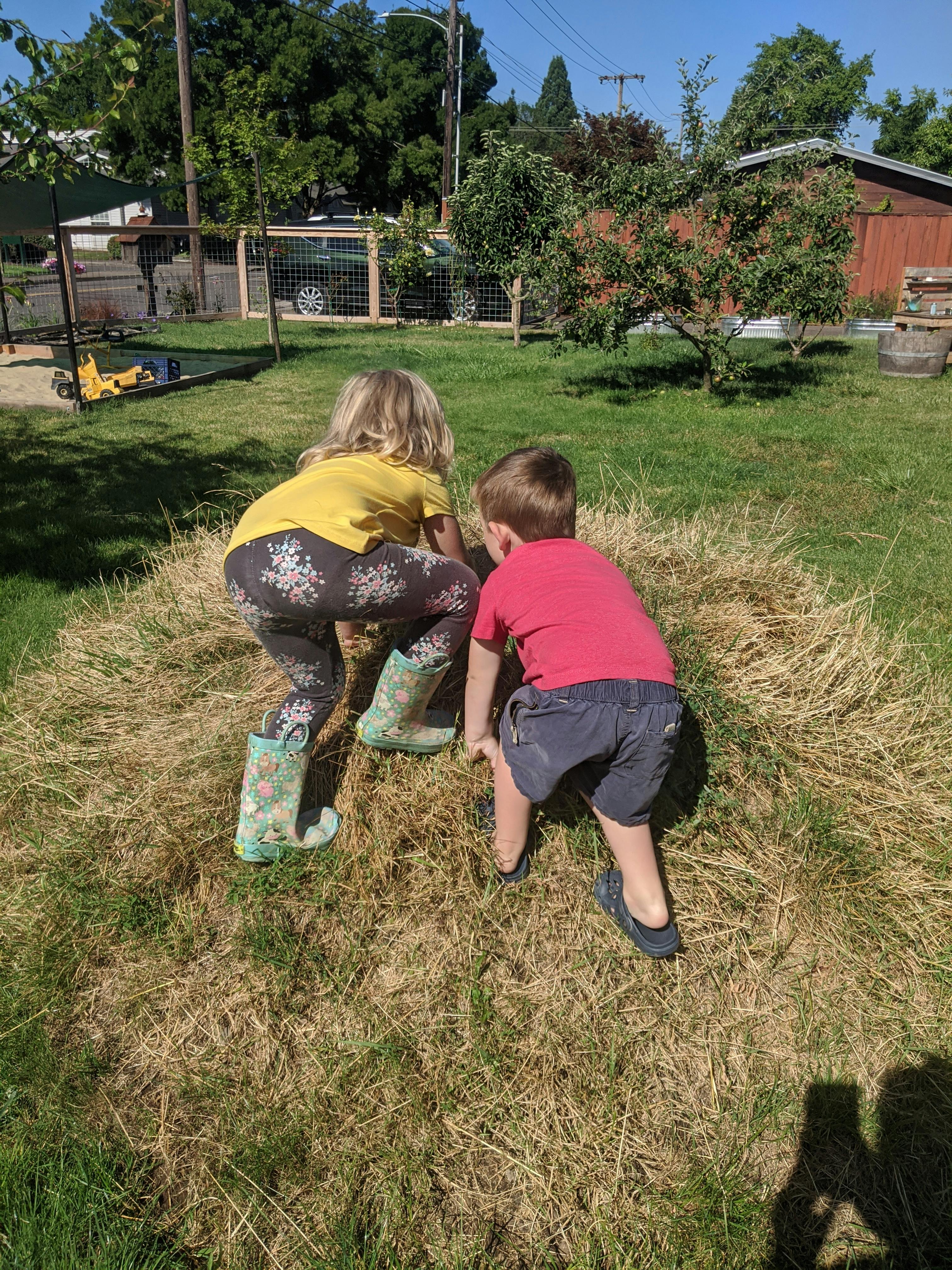 Two children playing in a grassy area