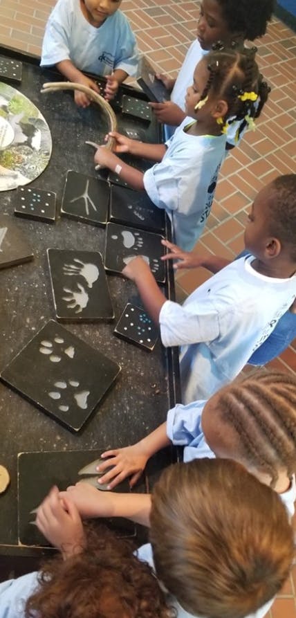 Children interacting with animal track and handprint displays