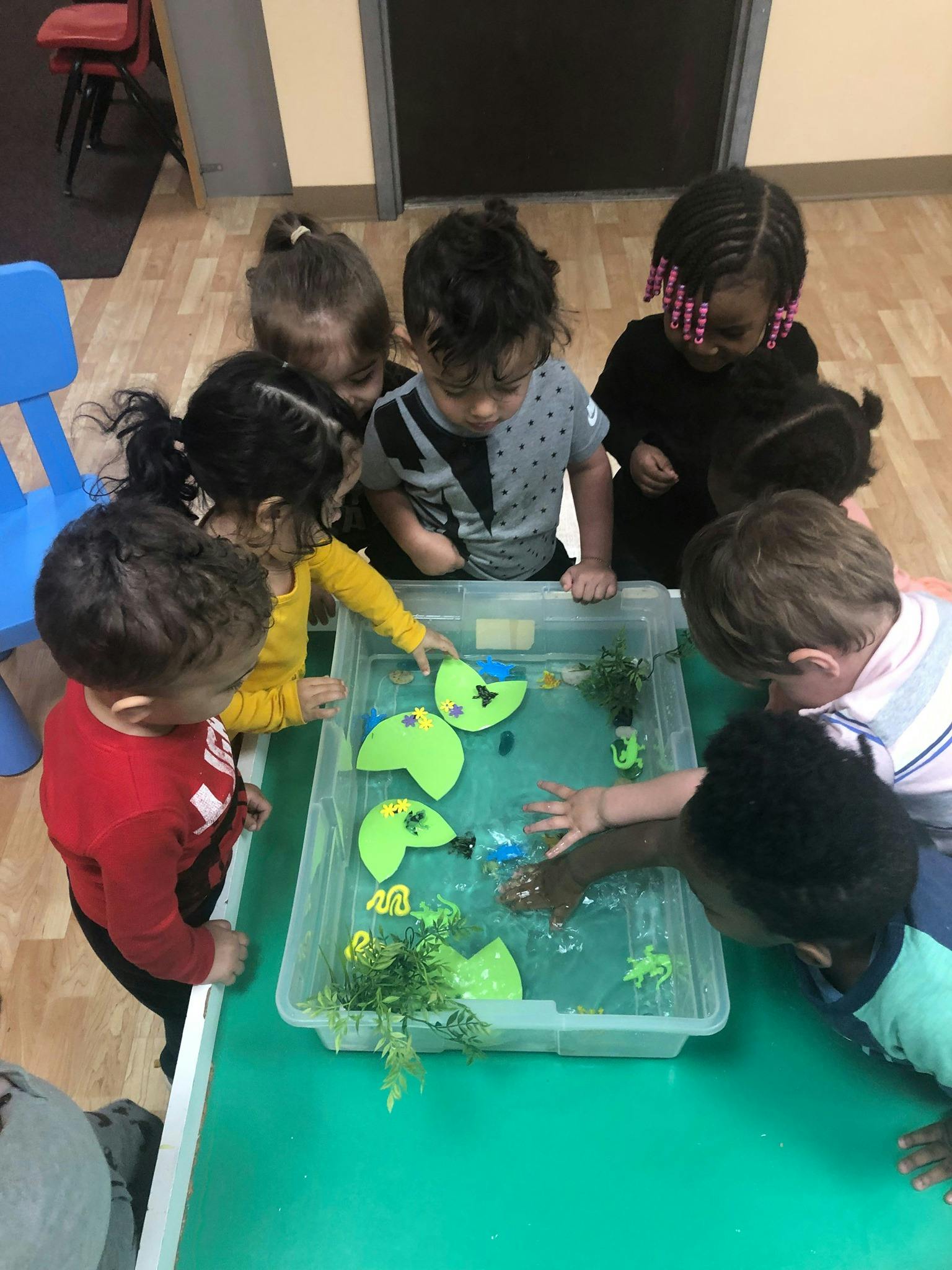 Children playing with water and toys in a clear bin