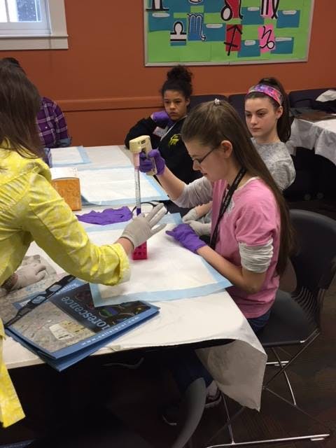 People in gloves working with pipettes and test tubes at a table