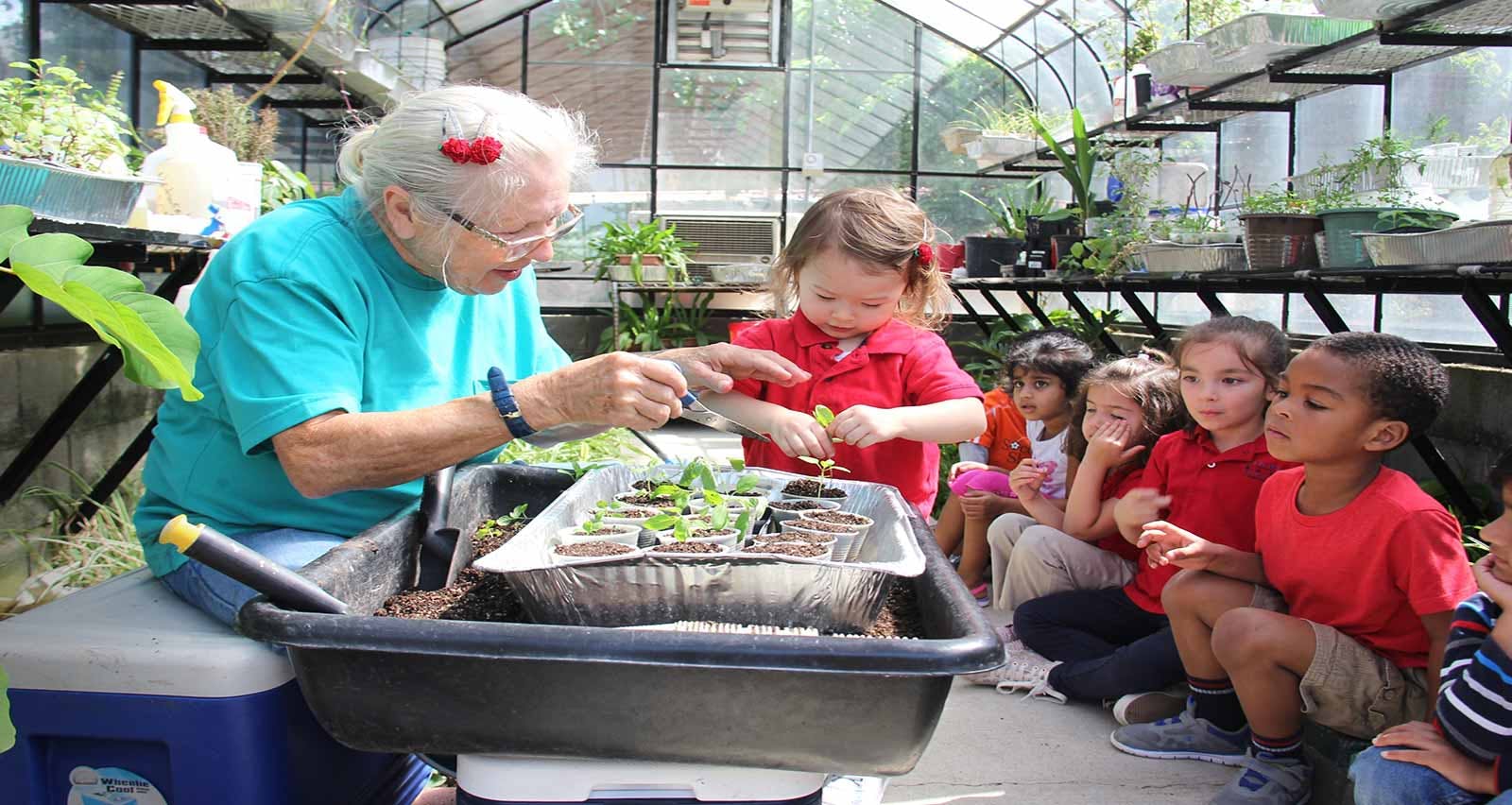 Person and child planting seedlings in a greenhouse with other children watching